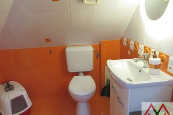 Casa Vatra Luminoasa - Parc Nichita Stanescu, teren 180mp anunturi imobiliare Bucuresti