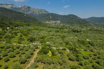 Teren agricol (vie) 617,04 mp în Skala Potamia, Thassos anunturi imobiliare Grecia