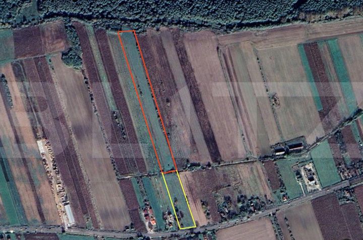 Teren de vanzare BOTIZ - Satu Mare anunturi imobiliare Satu Mare