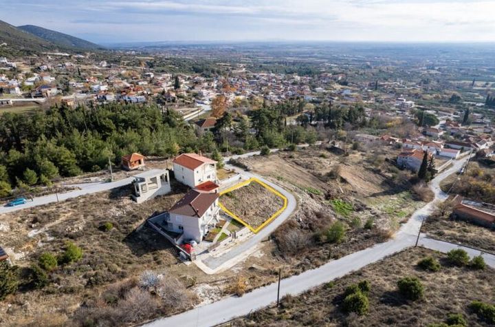 Teren construibil 432 mp în Zarkadia anunturi imobiliare Grecia