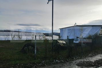 Teren de vanzare ALBA IULIA - Alba anunturi imobiliare Alba