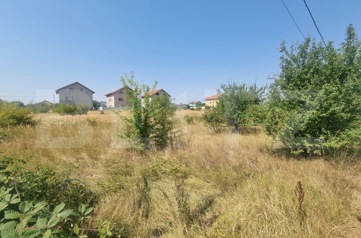 Teren de vanzare GHERCESTI - Dolj anunturi imobiliare Dolj