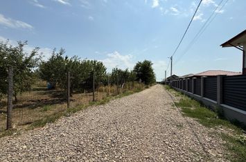 VALEA URSULUI, TEREN INTRAVILAN DE VANZARE,  LA MARGINE DE PADURE anunturi imobiliare Iasi