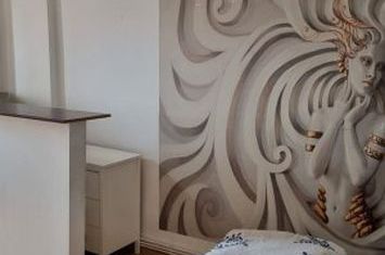 Apartament 3 camere de inchiriat IASI - Iasi anunturi imobiliare Iasi