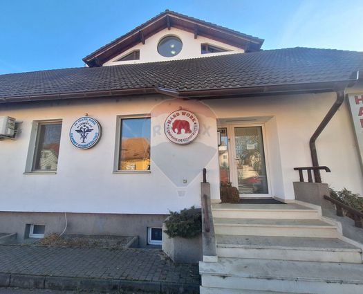 Spațiu comercial Turnisor, 283 mp