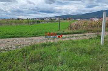 Teren Intravilan de vanzare BARABANT - Alba anunturi imobiliare Alba