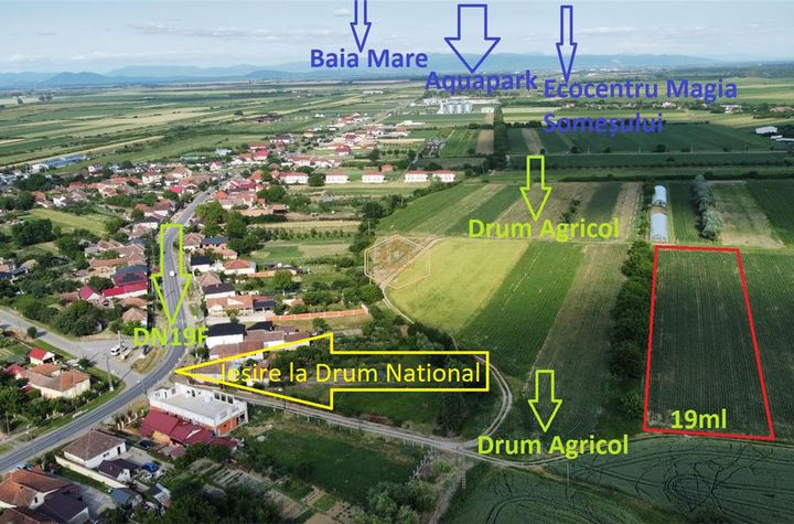 Teren Extravilan de vanzare ODOREU - Satu Mare anunturi imobiliare Satu Mare
