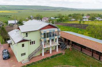 Casă / Vilă cu 10 camere, de vânzare. Todireni, Botoșani. anunturi imobiliare Botosani