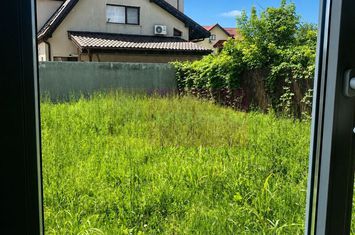 Duplex în vilă, 4 camere, renovat 2025, curte 250 mp, Mogoșoaia anunturi imobiliare Bucuresti
