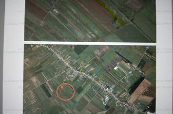 Teren 6.797mp Tartasesti 9850 eur anunturi imobiliare Dambovita