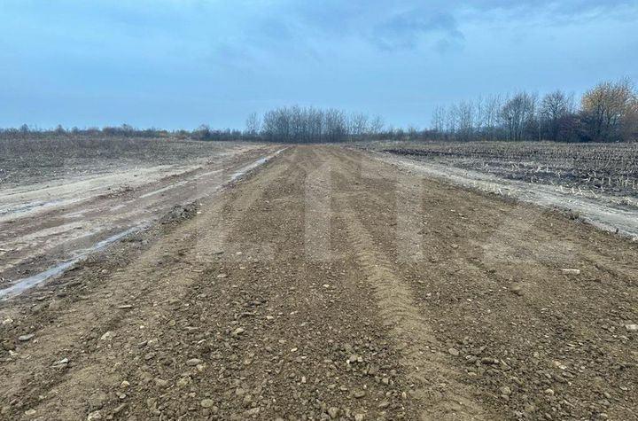 Teren de vanzare MARGINEA - Suceava anunturi imobiliare Suceava