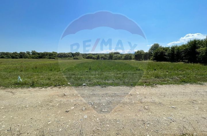 TEREN  INTRAVILAN 5,000mp ORAS CISNADIE  STR.  SELIMBARULUI anunturi imobiliare Sibiu