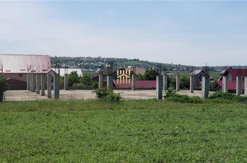 Teren Intravilan de vanzare SCHEIA - Suceava anunturi imobiliare Suceava