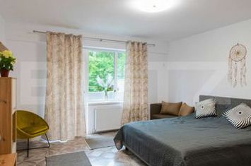 Garsonieră de inchiriat IASI - Iasi anunturi imobiliare Iasi