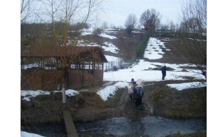 PROPRIETAR-Vand teren 11.769 mp, Moinesti ( Bacau) anunturi imobiliare Bacau