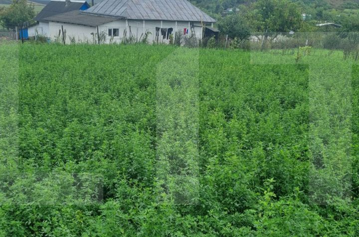 Casă - 3 camere de vanzare BOTOSANI - Botosani anunturi imobiliare Botosani