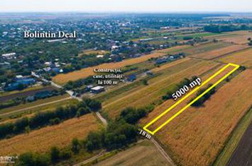 Teren intravilan construibil Bolintin Deal 5000 mp anunturi imobiliare Giurgiu