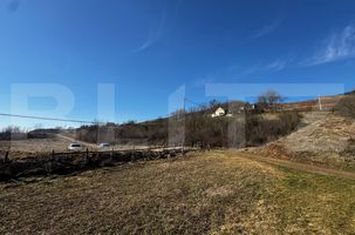 Teren de vanzare VINTU DE JOS - Alba anunturi imobiliare Alba
