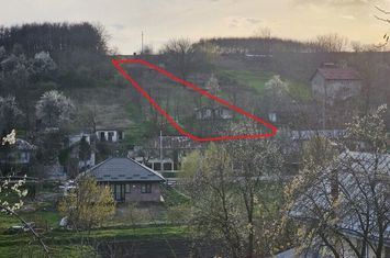 Cadru natural deosebit, teren 2267 mp cu autorizatie de constructie anunturi imobiliare Iasi