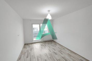 Apartament 2 camere decomandat cu gradina individuala adiacent Brancoveanu 100 mp anunturi imobiliare Bucuresti
