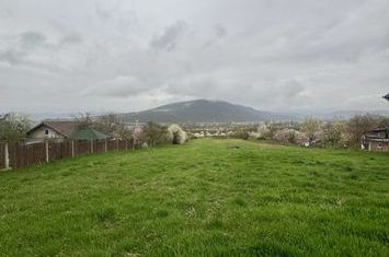 Teren de vanzare VETEL - Hunedoara anunturi imobiliare Hunedoara