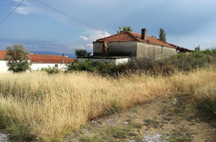 Teren construibil 902 mp în Zarkadia Nestou anunturi imobiliare Grecia