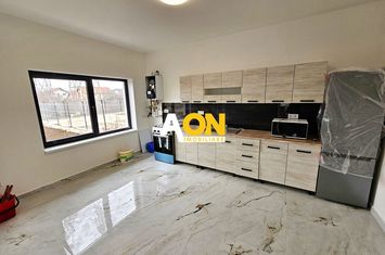 Casa 3 camere, mobilata, utilata, 452 mp teren, Alba - Micesti anunturi imobiliare Alba