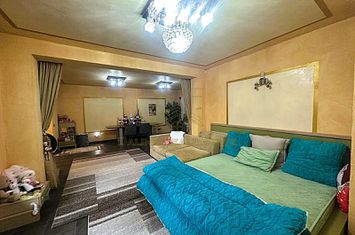 Vanzare - Vila 5 Dormitoare- Eficienta Energetica Ridicata anunturi imobiliare Bucuresti