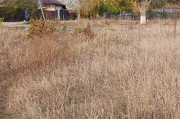 Frumusani -Vanzare teren  intravilan anunturi imobiliare Calarasi