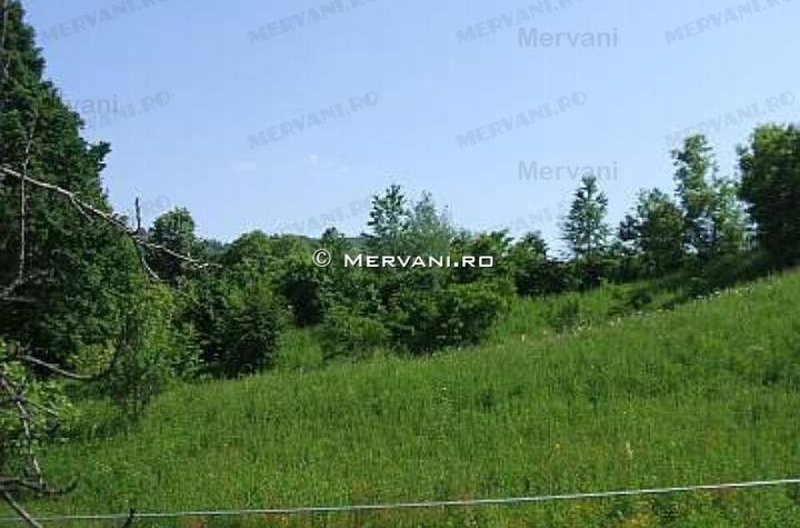 Teren de vânzare în Breaza (zona Clubul de Golf) anunturi imobiliare Prahova