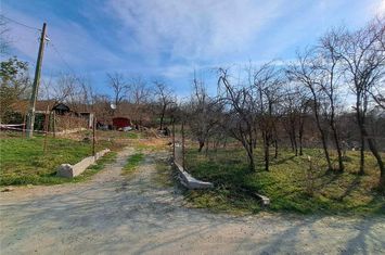 Teren Intravilan de vanzare PODGORIA - Bihor anunturi imobiliare Bihor