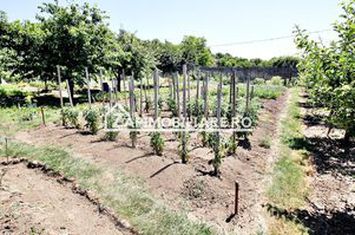 Teren intravilan 1.300 mp.zona Belvedere Targu Mures anunturi imobiliare Mures