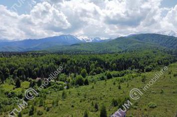 Teren Intravilan de vanzare AVRIG - Sibiu anunturi imobiliare Sibiu