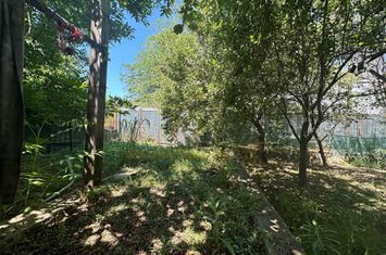 Vanzare - Vila - 7 camere - Curte 511 mp - Parcul Mogosoaia anunturi imobiliare Bucuresti
