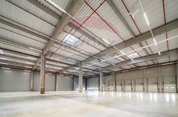 Spațiu industrial de închiriat 1.600mp - 9.000mp în Hală - Iasi (Vest) anunturi imobiliare Iasi
