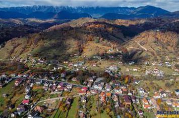 Casă - 9 camere de vanzare MOIECIU - Brasov anunturi imobiliare Brasov