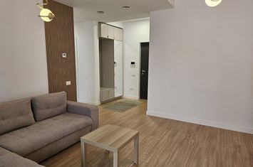 Bucurestii Noi-Damaroaia, 3 camere, prima inchiriere, garaj, curte anunturi imobiliare Bucuresti