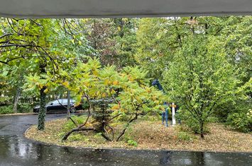 Apartament de inchiriat Avoatorilor anunturi imobiliare Bucuresti