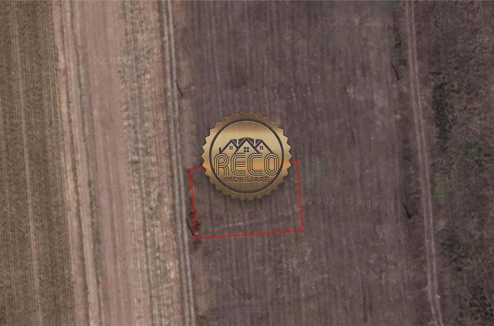 Teren Intravilan de vanzare PALEU - Bihor anunturi imobiliare Bihor