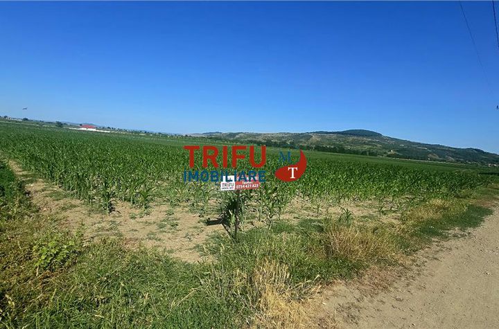 Teren Intravilan de vanzare IGHIU - Alba anunturi imobiliare Alba