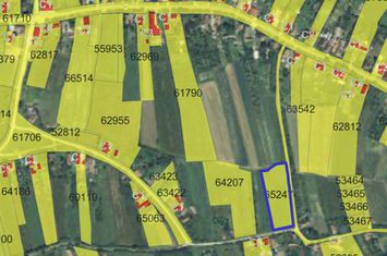 Teren de vanzare SAUAIEU - Bihor anunturi imobiliare Bihor
