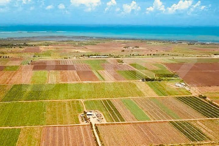 Teren de vanzare FAGARAS - Brasov anunturi imobiliare Brasov