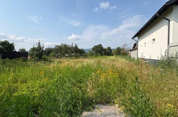 Teren de vanzare BUSAG - Maramures anunturi imobiliare Maramures
