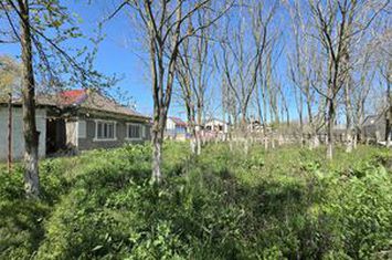 Teren de vanzare SIBIOARA - Constanta anunturi imobiliare Constanta