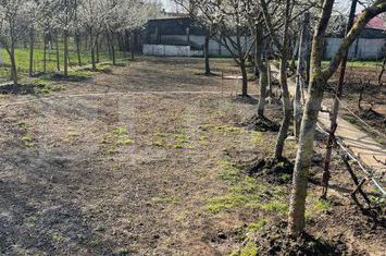 Teren de vanzare SANANDREI - Timis anunturi imobiliare Timis