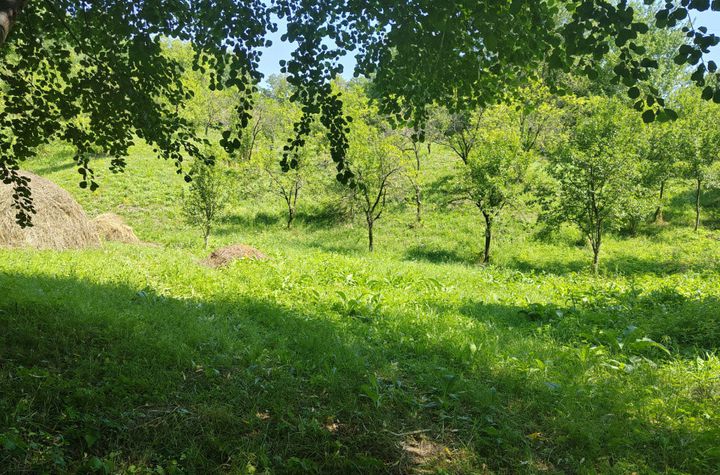 Teren de vanzare BREAZA - Prahova anunturi imobiliare Prahova