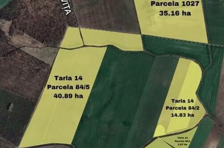 Vand teren Crevedia 140 hectare anunturi imobiliare Dambovita