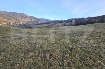 Teren de vanzare ABRUD - Alba anunturi imobiliare Alba