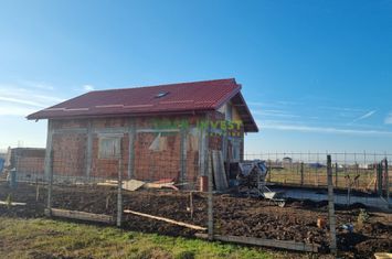 Proprietar - VÂNZARE LOTURI - Popești Leordeni anunturi imobiliare Bucuresti