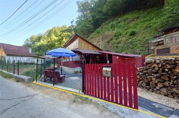 Casă - 2 camere de vanzare CRISCIOR - Hunedoara anunturi imobiliare Hunedoara